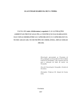 (Ochlerotatus) Scapularis e as altera&ccedil;&otilde;es ambientais provocadas