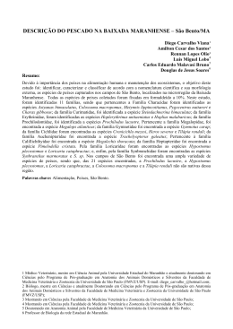 INSTRU&Ccedil;&Otilde;ES PARA ELABORA&Ccedil;&Atilde;O DE ARTIGO COMPLETO