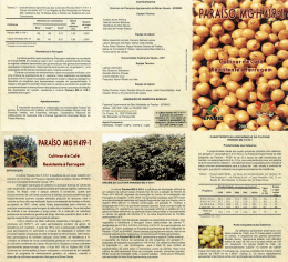 Para&iacute;so MG 419-1 - Cons&oacute;rcio Pesquisa Caf&eacute;