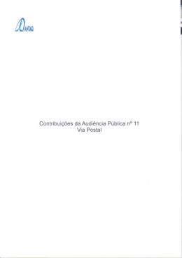 Rafael Coutinho da Silva / Sergio Barreira Belerique Petrobr&aacute;s