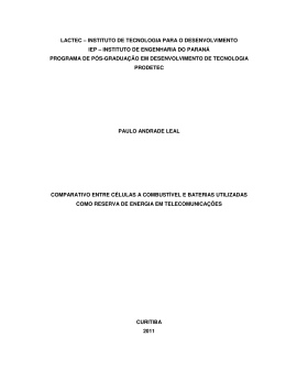 instituto de engenharia do paran&aacute; programa de