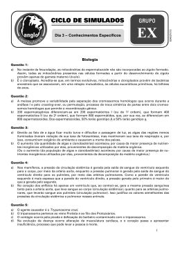 Resol. Ciclo de simul. Alfa EX dia 3