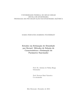 Estudos em Estima&ccedil;&atilde;o de Densidade por Kernel: M&eacute;todos