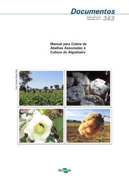 Boletim de Pesquisa 343:_Manual para Coleta de Abelhas