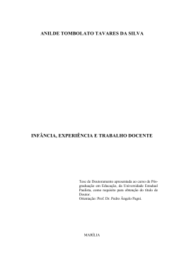 ANILDE TOMBOLATO TAVARES DA SILVA INF&Acirc;NCIA