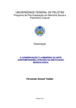 Fernanda Amaral Taddei_Dissertacao