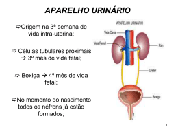 amostras - Desenvolvido por