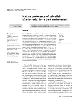 Natural preference of zebrafish (Danio rerio) for a dark environment