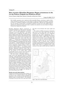 New records of Brazilian Merganser Mergus octosetaceus in the rio