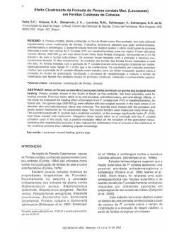 Efeito cicatrizante da pomada de Persea cordata Mez