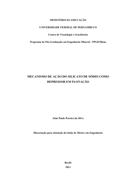 Jo&atilde;o Paulo Pereira da Silva - Universidade Federal de Pernambuco