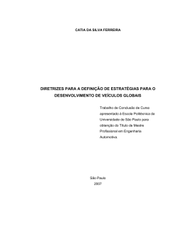 diretrizes para a definição de estratégias para o desenvolvimento