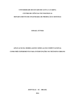 Aplica&ccedil;&atilde;o da modelagem e simula&ccedil;&atilde;o computacional como pr&eacute;