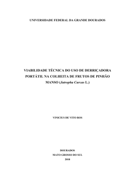VIABILIDADE T&Eacute;CNICA DO USO DE DERRI&Ccedil;ADORA PORT&Aacute;TIL