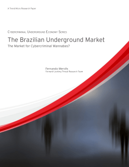 The Brazilian Underground Market: The Market for