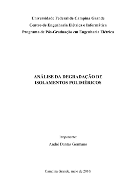 AN&Aacute;LISE DA DEGRADA&Ccedil;&Atilde;O DE ISOLAMENTOS POLIM&Eacute;RICOS