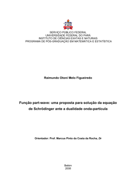 Fun&ccedil;&atilde;o part-wave: uma proposta para solu&ccedil;&atilde;o da equa&ccedil;&atilde;o