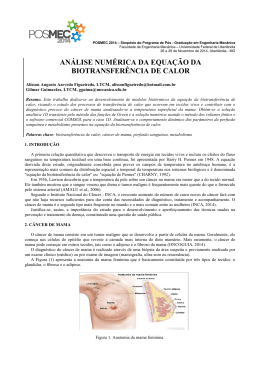 An&aacute;lise Num&eacute;rica da Equa&ccedil;&atilde;o da Biotransfer&ecirc;ncia de Calor