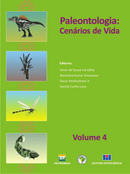 (MGEO &ndash; IGEO/UFRJ) nos Desafios da