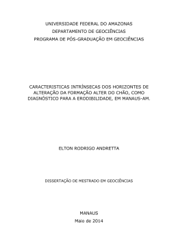 Disserta&ccedil;&atilde;o - Elton Rodrigo Andretta - TEDE