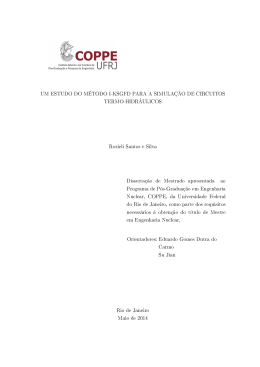 Rozieli Santos e Silva - Programa de Engenharia Nuclear da