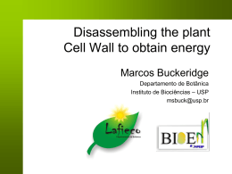 Disassembling the plant Cell Wall to obtain energy
