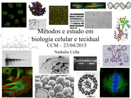 Molecular Biology of the Cell