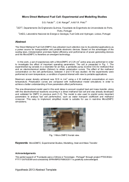 Hypothesis 2013 Abstract Template Micro Direct Methanol Fuel Cell