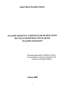 i&acirc;ir- CHCLO DE WIS&Atilde;O CELULAR EM