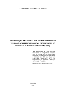 DEL MENEZZI, CLAUDIO HENRIQUE SOARES