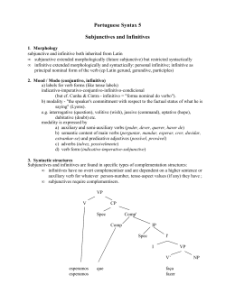 Portuguese Syntax