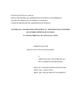Governan&ccedil;a em organiza&ccedil;&otilde;es p&uacute;blicas: desafios para entender os