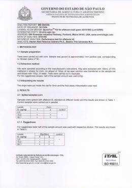 ITAL Brasil Certificate of Performance