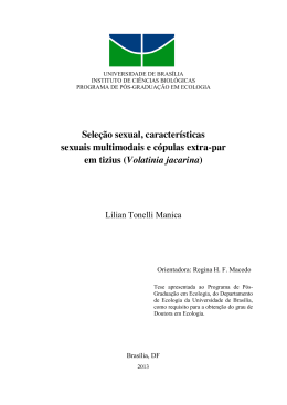 Lilian Tonelli Manica - Universidade de Bras&iacute;lia