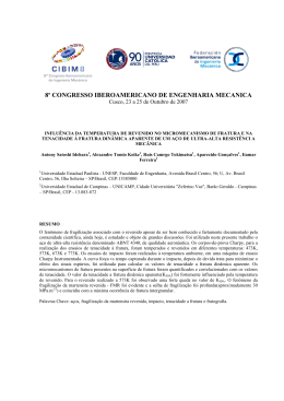 8&ordm; CONGRESSO IBEROAMERICANO DE ENGENHARIA MECANICA