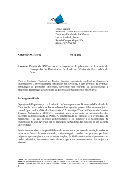 1 Exmo. Senhor Professor Doutor Ant&oacute;nio Fernando Sousa da Silva