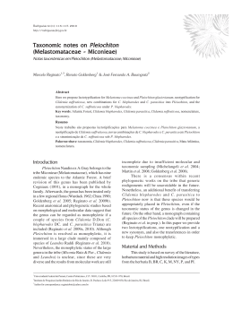 Taxonomic notes on Pleiochiton - Rodriguésia