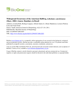 Widespread Occurrence of the American Bullfrog