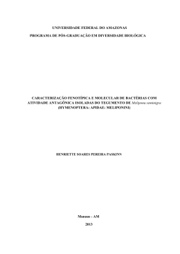 Disserta&ccedil;&atilde;o - Henriette Soares Pereira Paskinn - TEDE