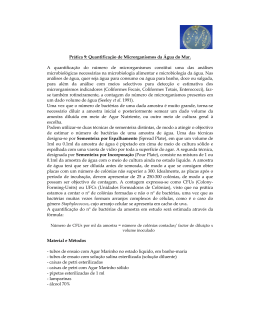 Quantifica&ccedil;&atilde;o de Microorganismos da &Aacute;gua do Mar