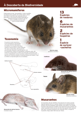Folheto Informativo