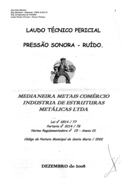 laudo pericial ru&iacute;do 2008