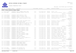 Despesa Empenhada Geral Serviço Autônomo de Água e Esgoto