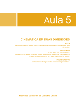 CINEM&Aacute;TICA EM DUAS DIMENS&Otilde;ES