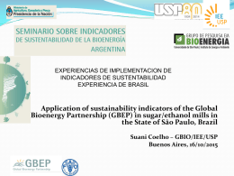 Application of sustainability indicators of the Global Bioenergy