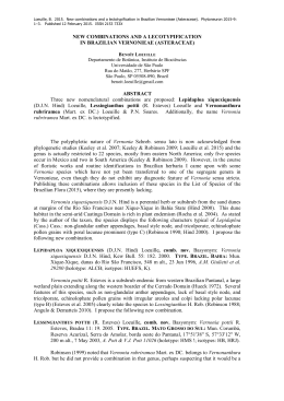 New combinations and a lectotypification in Brazilian