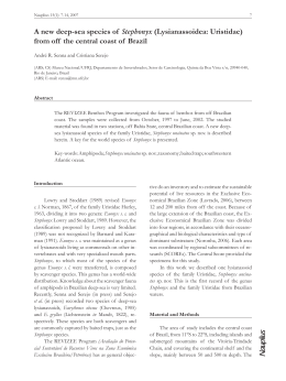 A new deep-sea species of Stephonyx (Lysianassoidea: Uristidae