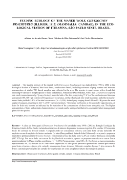feeding ecology of the maned wolf, chrysocyon brachyurus