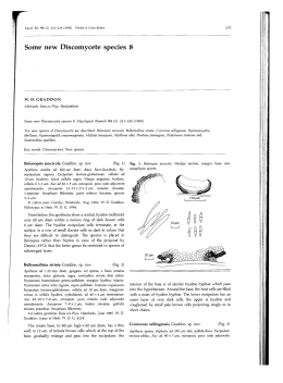 Some new Discomycete species 8