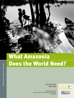What Amazonia Does the World Need?